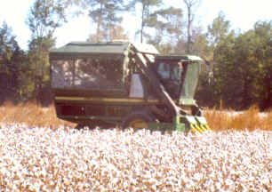 Hemingway, South Carolina