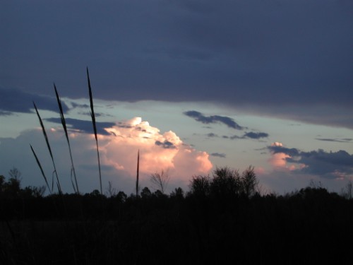 Hemingway South Carolina